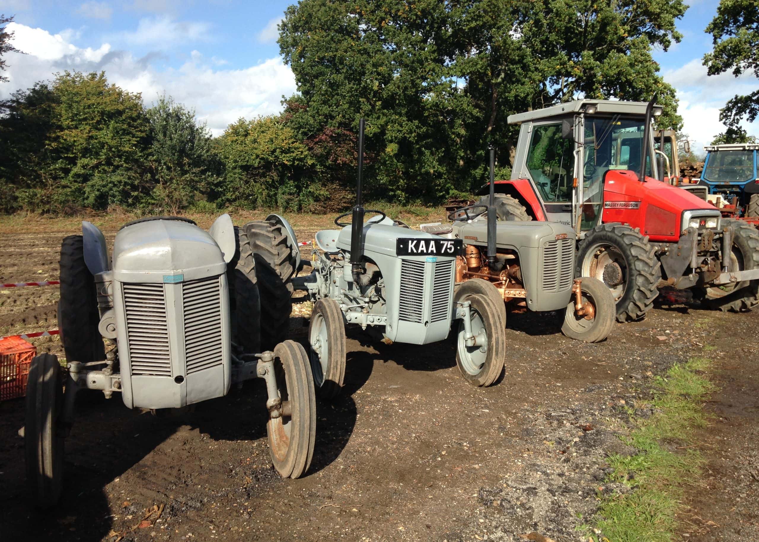 Vintage Tractors