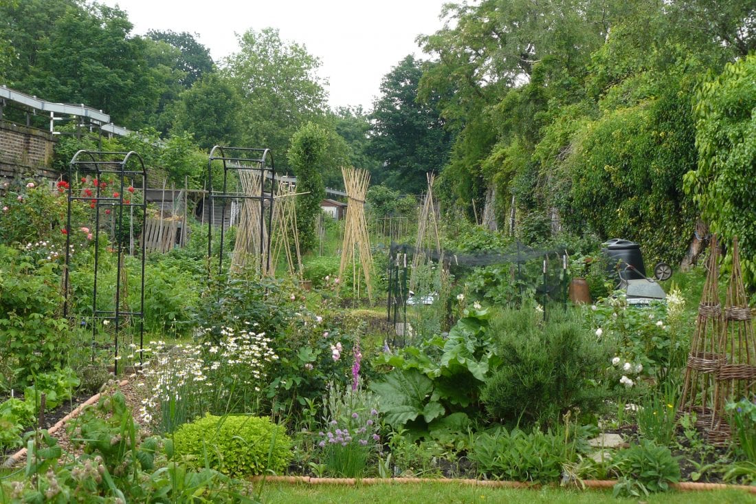 Photo of an Allotment